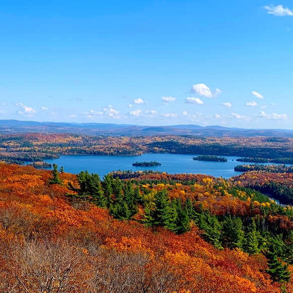 Meet your Posher, Haley - Picture 1 of 1